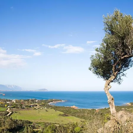 Mediterranean *