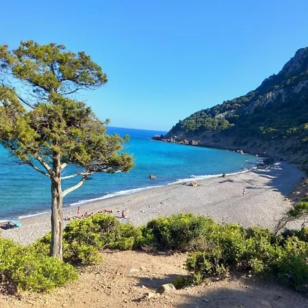 Mediterranean *
