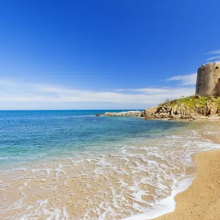 Mediterranean *